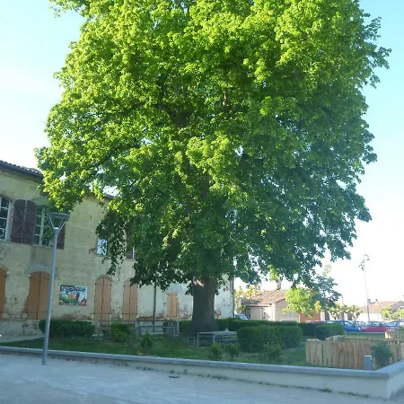 فندق مبيت وإفطار Au Coeur De - D'hotes Montastruc-la-Conseillère